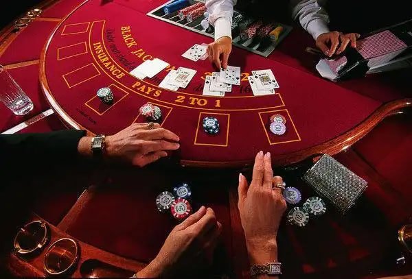 showbet
